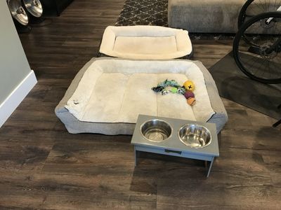 Dog beds, raised dog bowls, dog toys