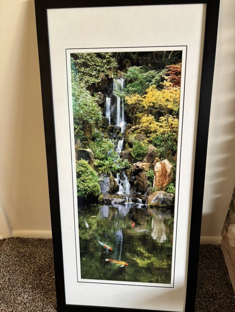 Limited Edition Photo