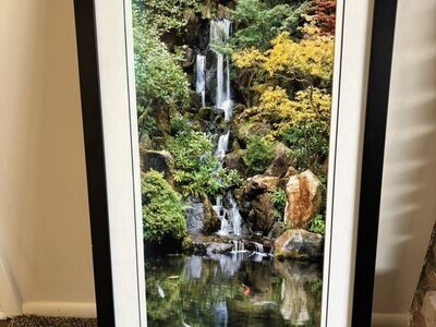 Limited Edition Photo