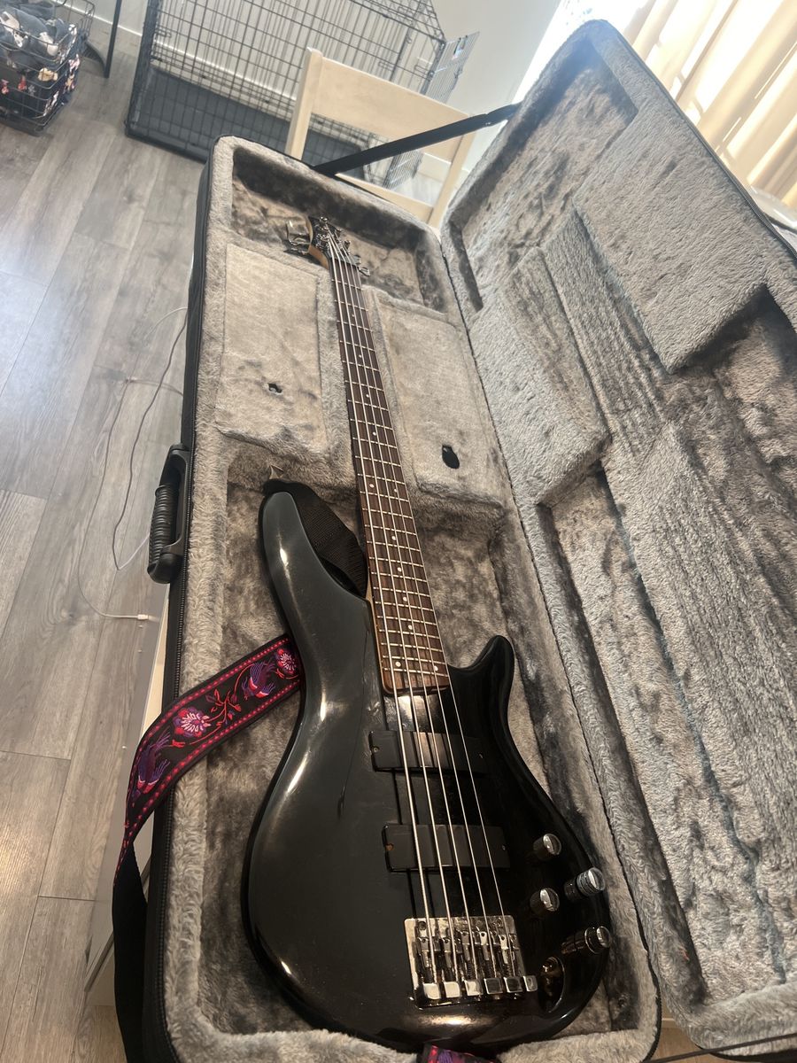 SDGR SR 305