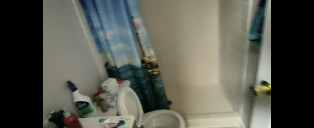 Main image 6