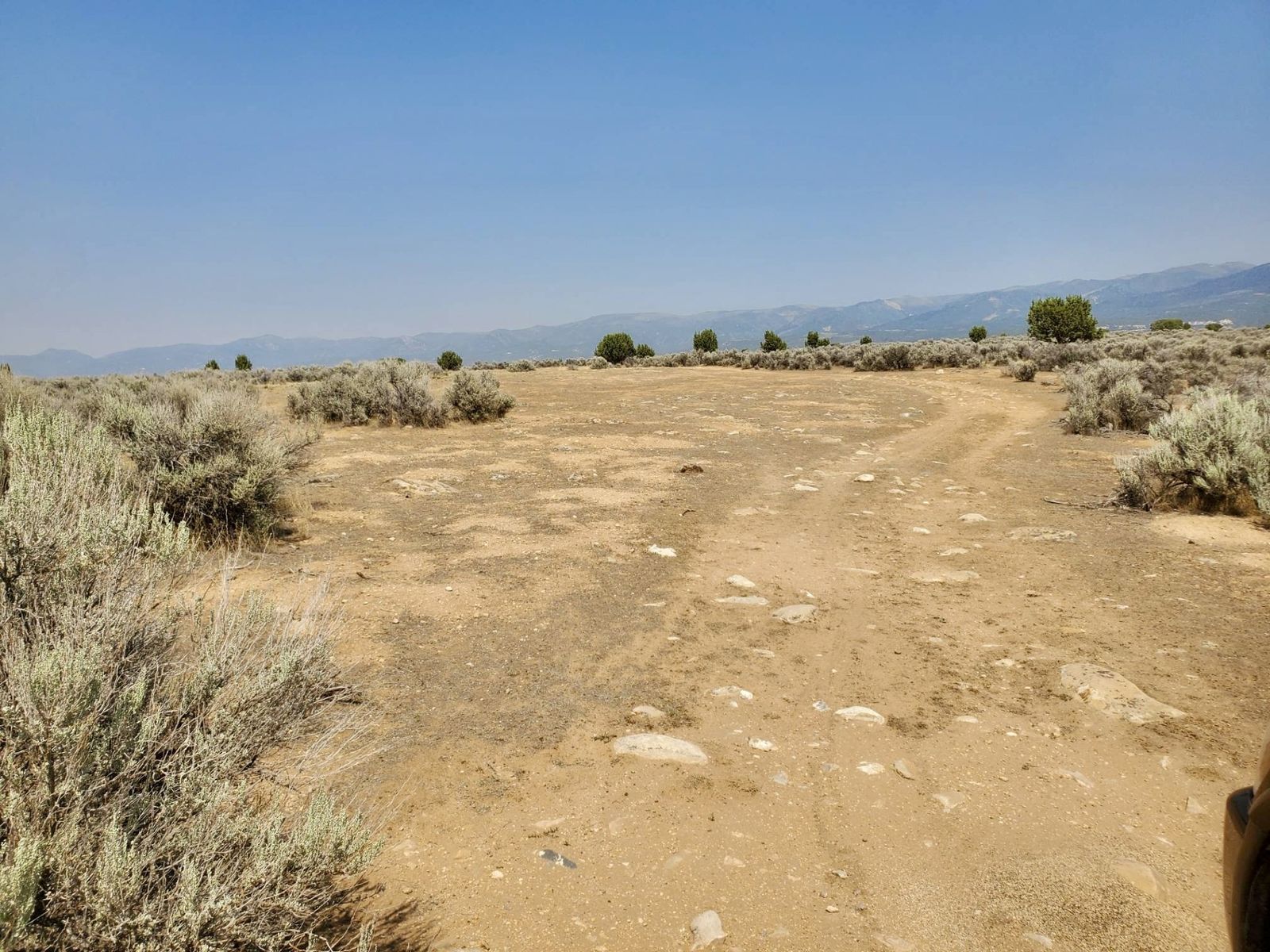 Main image 7
