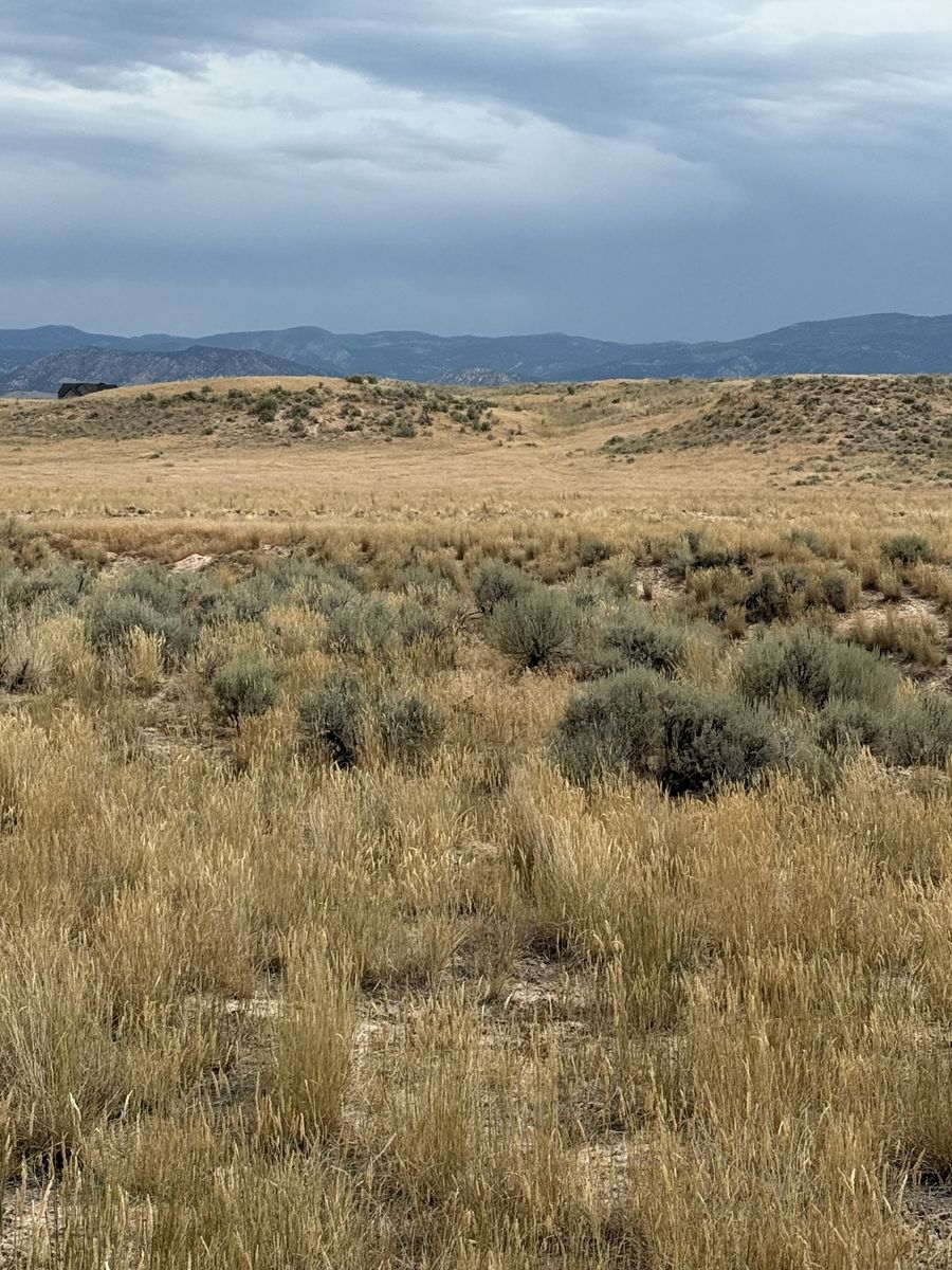 Main image 11