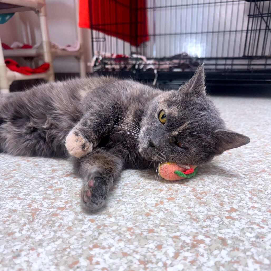 Hello my name is Cuyahoga