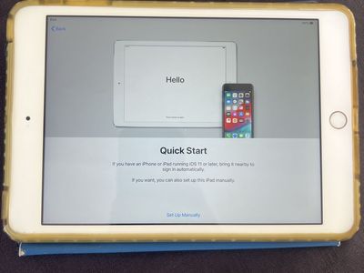 Old working Ipad Mini