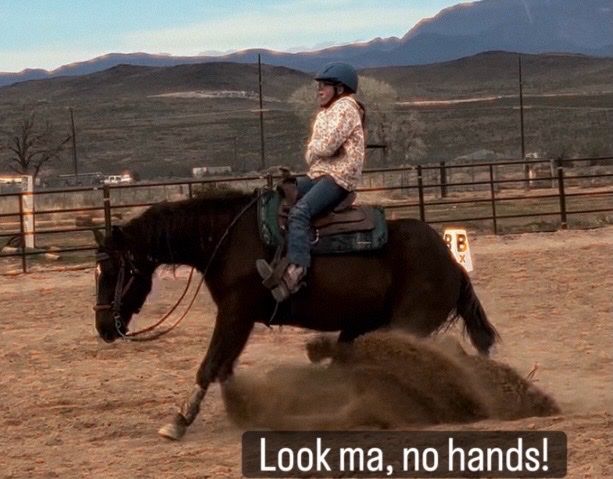 Reiner, babysitter, 2025 4h State Champion, lesson horse, therapy horse