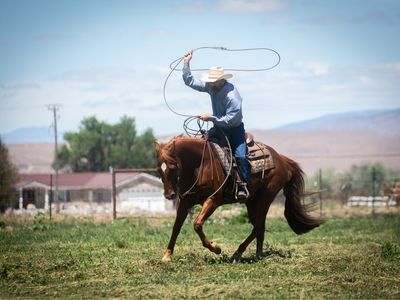 Ride, Rope, Ranch and Repeat!!