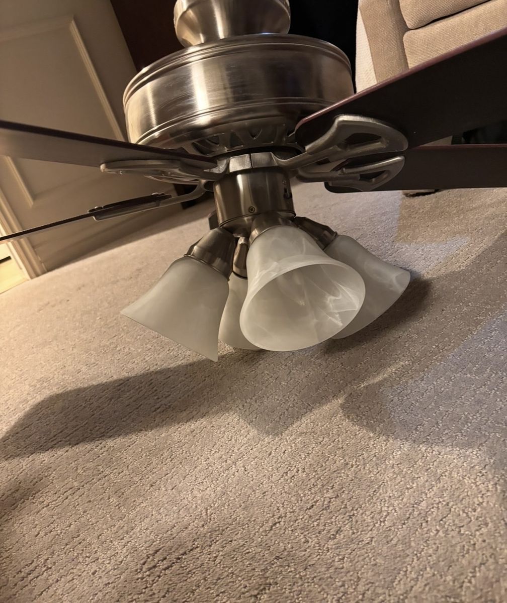 Ceiling Fan
