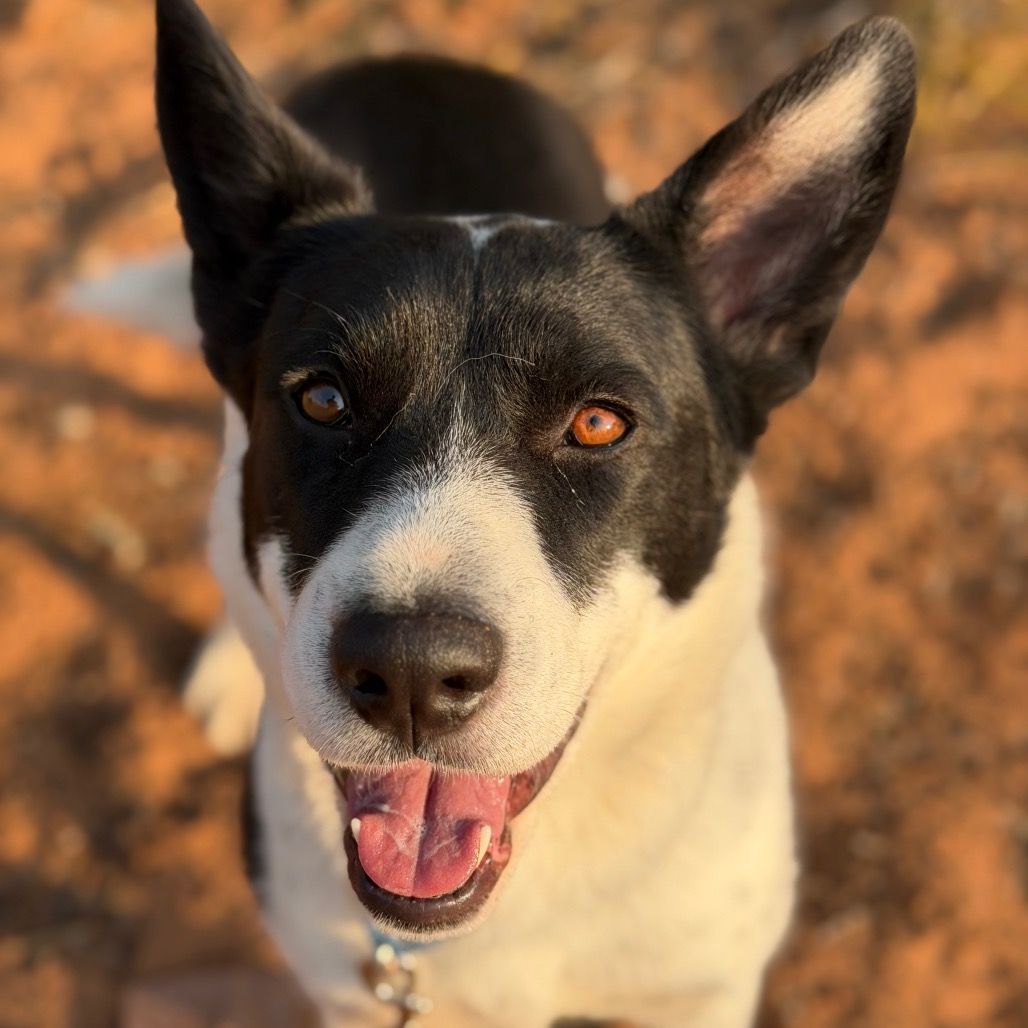 Hello my name is Kiki