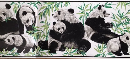 Panda Bear Wallpaper border