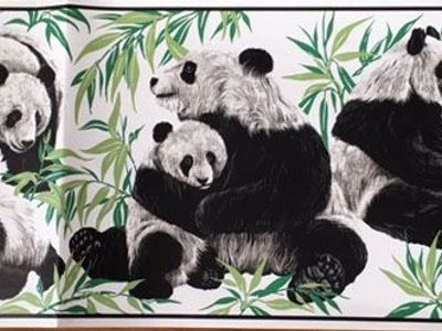 Panda Bear Wallpaper border
