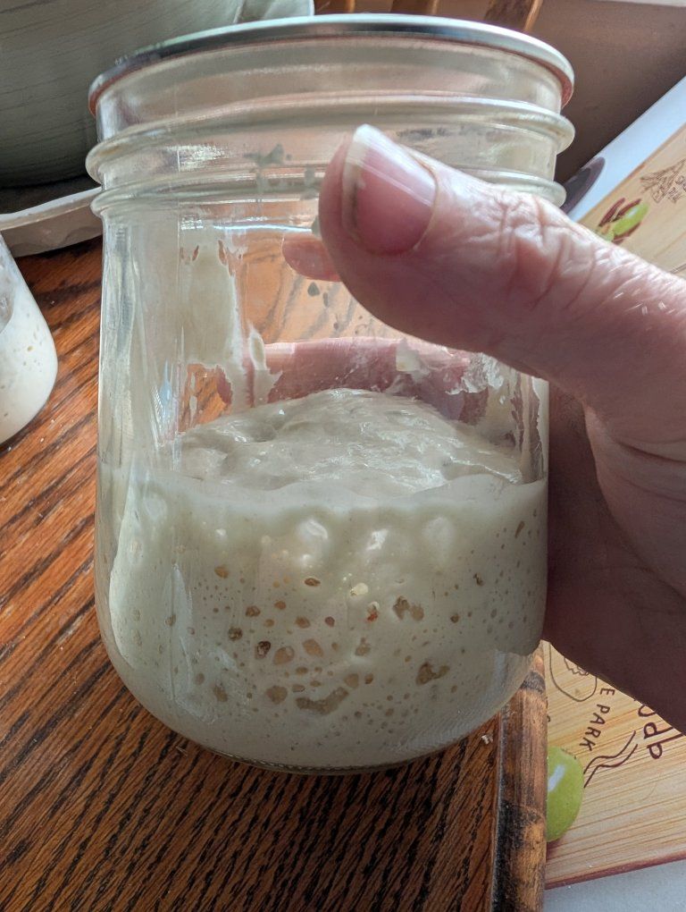 Sourdough Starter