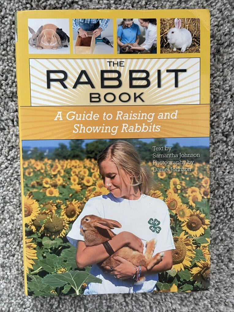 Rabbit Book