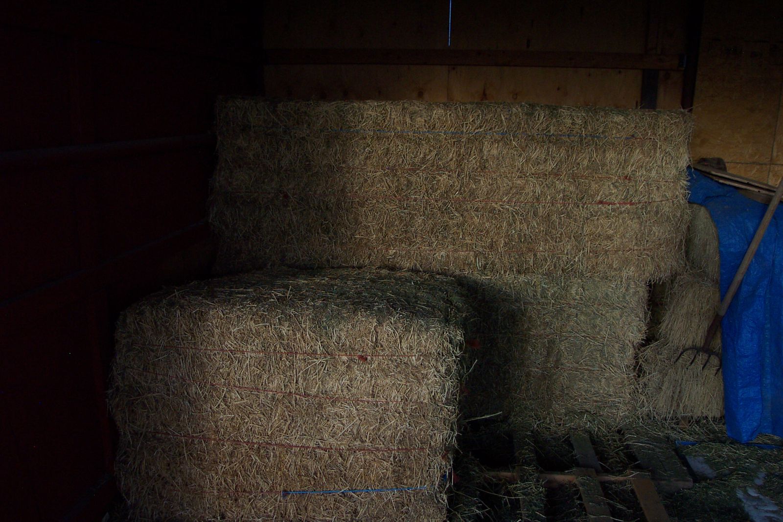 Cow Hay 3x3x8
