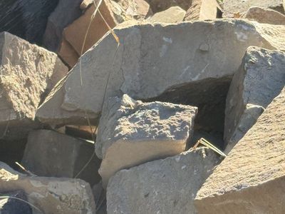 Free landscaping bricks