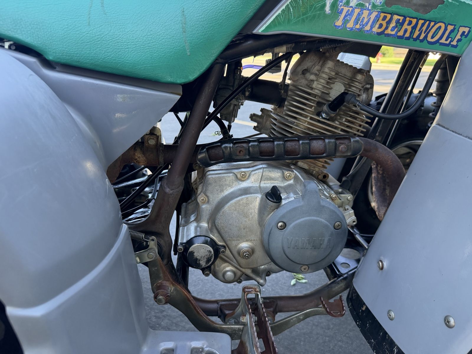 Main image 11