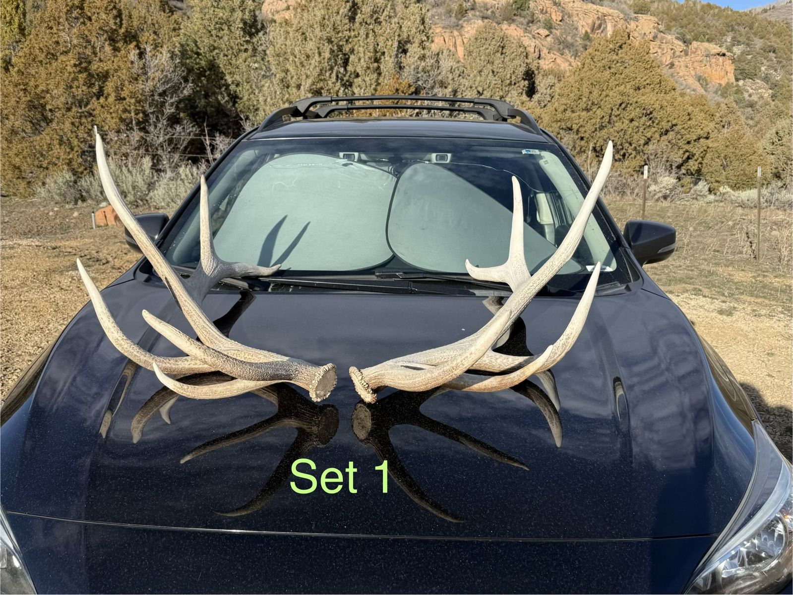 Elk Sheds - Wasatch National Forrest