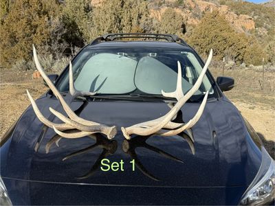 Elk Sheds - Wasatch National Forrest