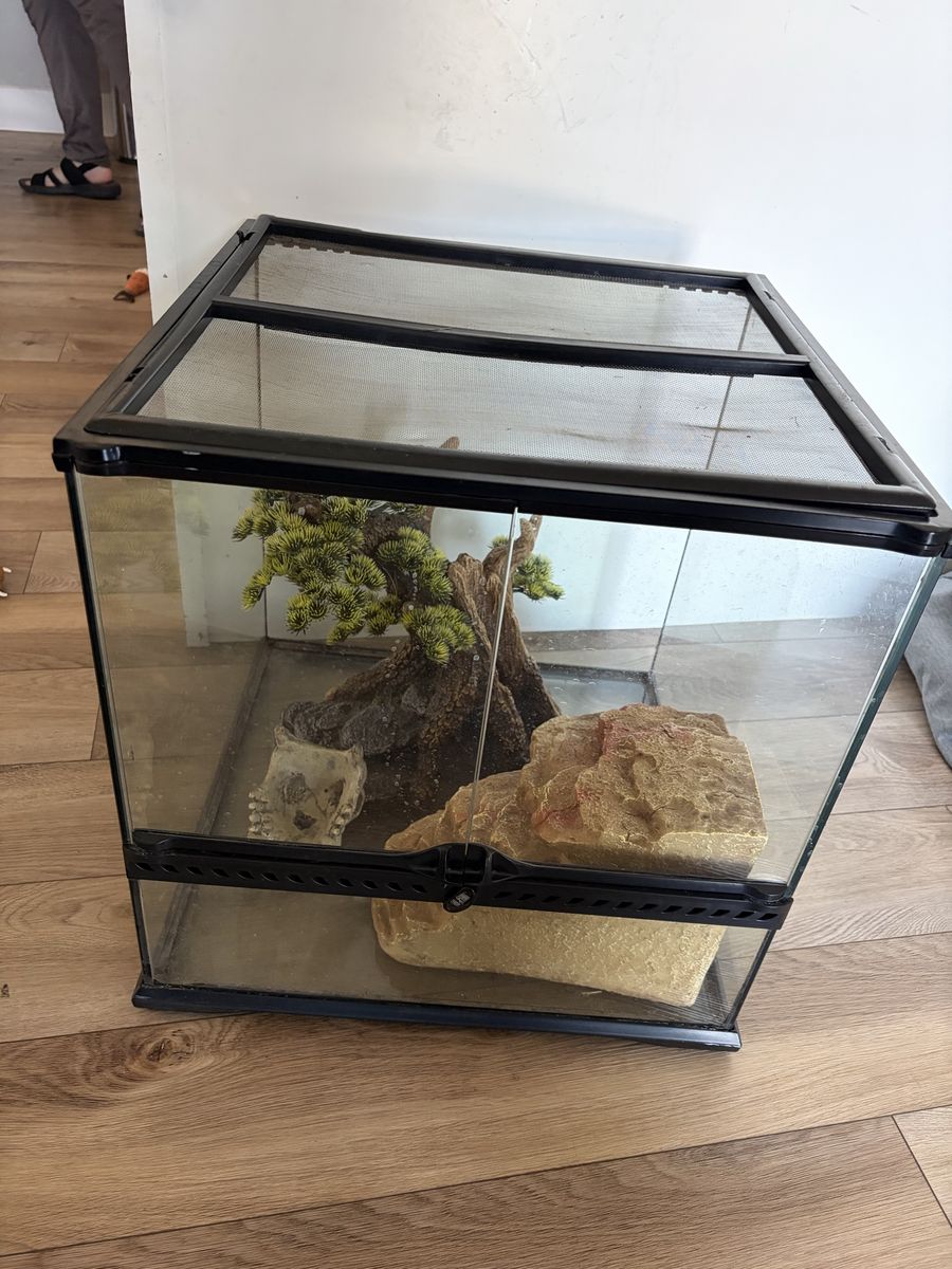 Exo Terra Glass Reptile Terrarium Enclosure with Accessories & Mesh Top