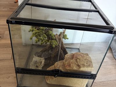 Exo Terra Glass Reptile Terrarium Enclosure with Accessories & Mesh Top