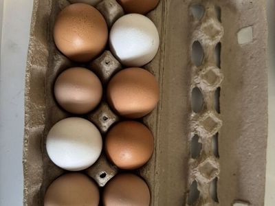 Unwashed Free Range Chicken Eggs