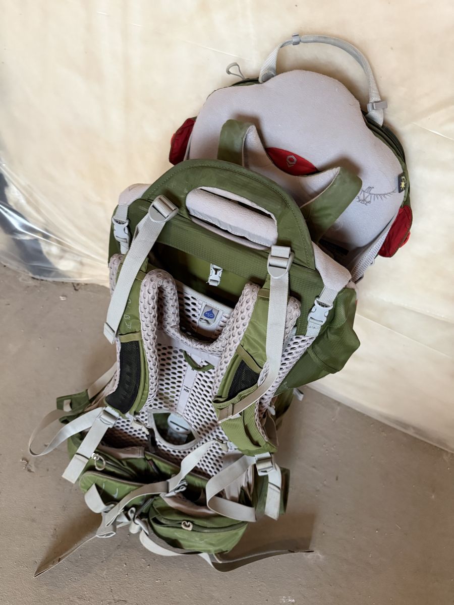 Osprey Poco AG Premium Child Carrier Backpack Green Hiking Outdoor Adventure Gear