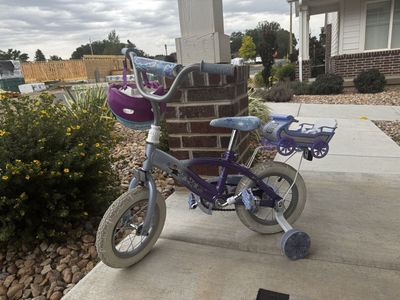Disney Frozen Kids' Bike w/ Training Wheels & Basket, Elsa & Anna Helmet, 12-inch Wheels