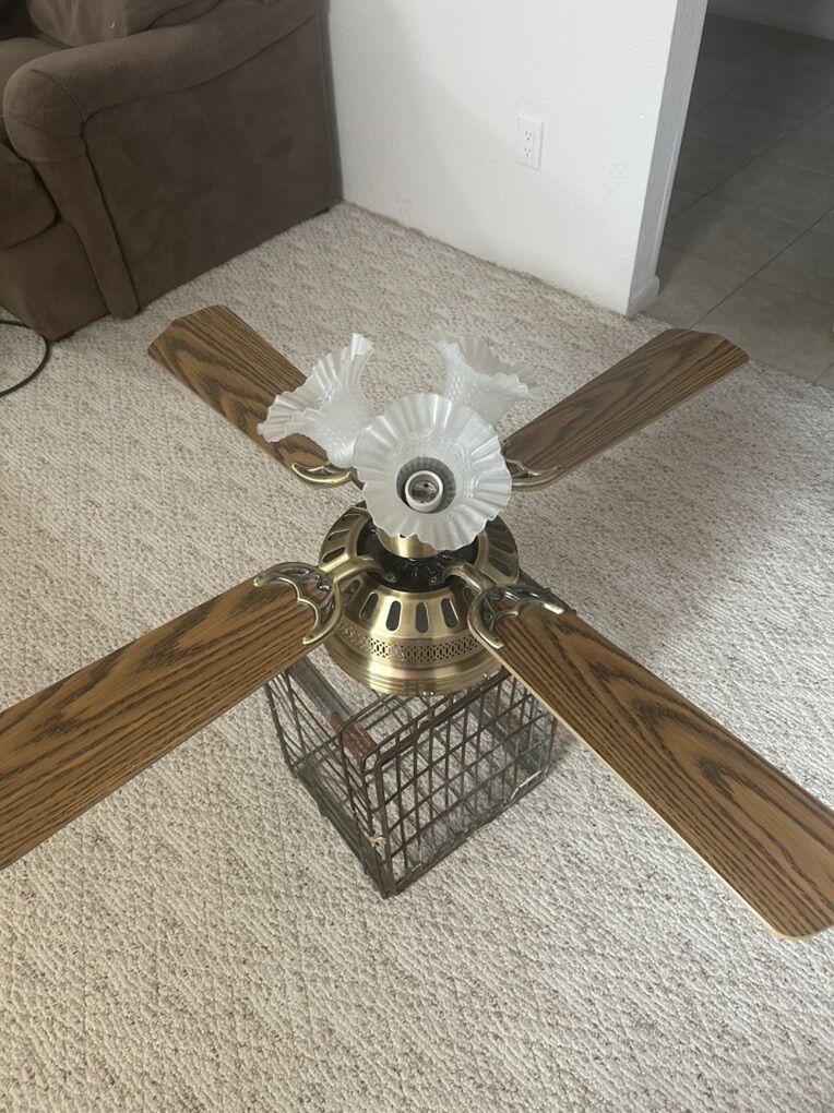 Ceiling Fans With Light