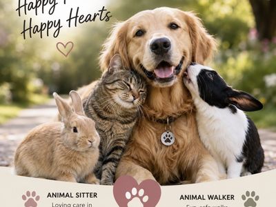 Animal sitter animal walker
