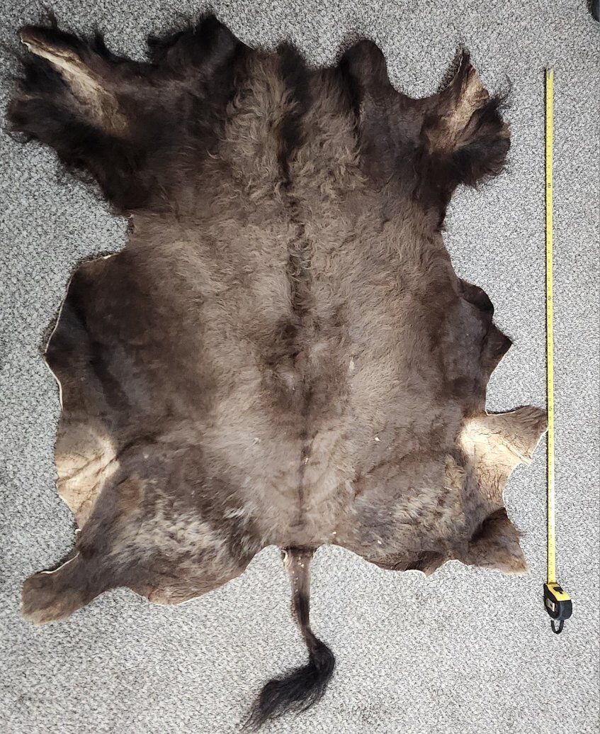 Buffalo hide