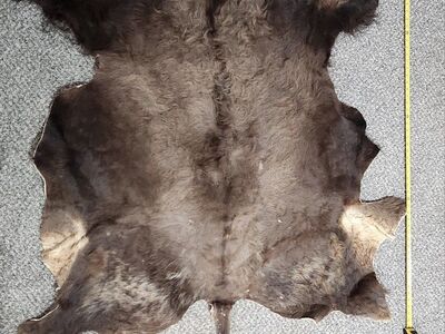 bison hide