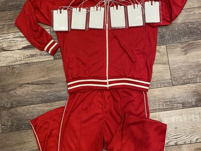 Six Million Dollar Man (6MDM) Cosplay Costume