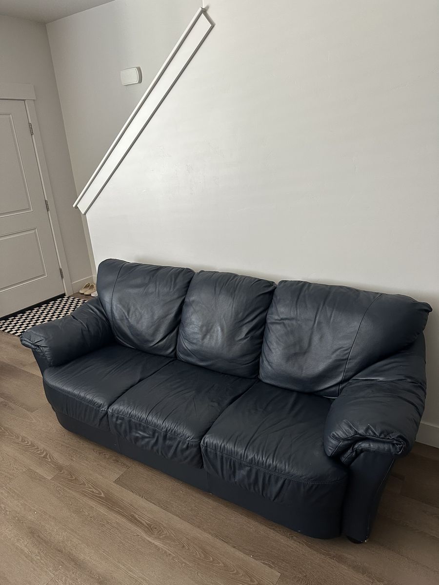 Blue Leather Couch