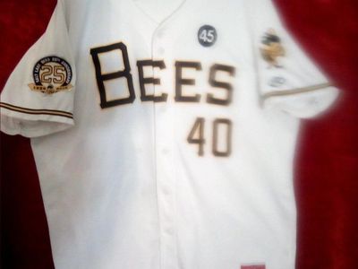 SALT LAKE BEES JERSEY