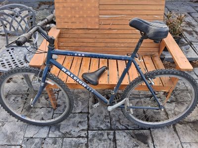 Raleigh MT 200 (indestructible tubes)