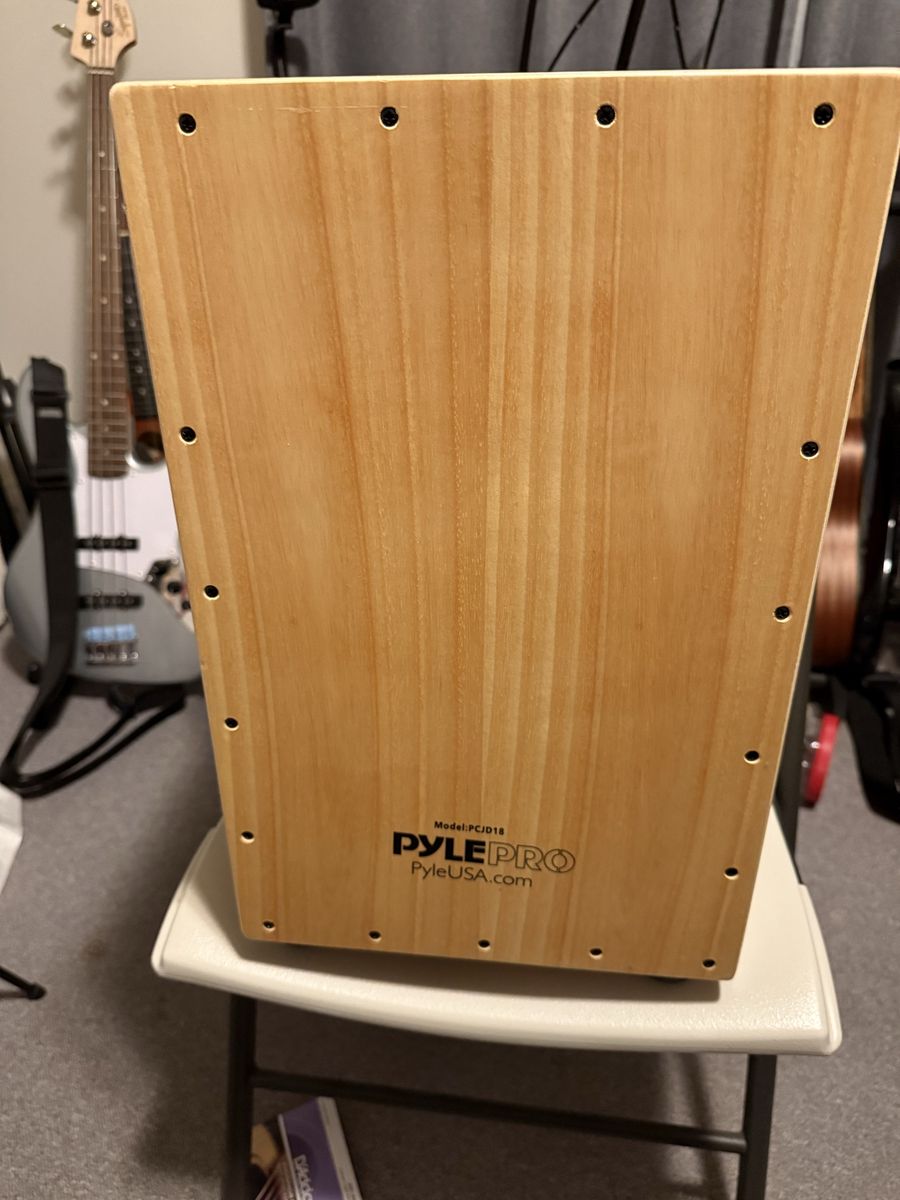 Pyle Pro Cajon with added pickup and output jack. Add a guitar pedal and make it radical. Output to an amp or PA.