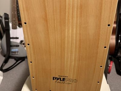 Pyle Pro Cajon with added pickup and output jack. Add a guitar pedal and make it radical. Output to an amp or PA.