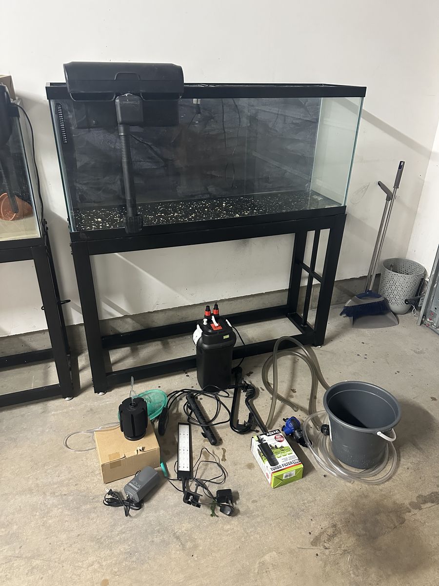 Fish Tank 55 Gallons Full Set Up ‏