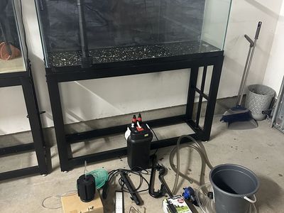 Fish Tank 55 Gallons Full Set Up 