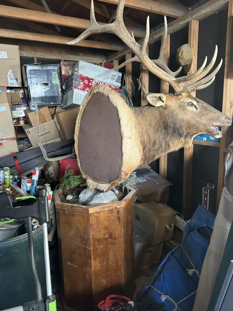 Pedestal ONLY For Deer Or Elk Mount