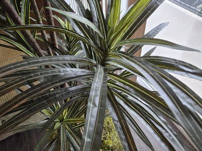 Fake Indoor Plant Tree Decor