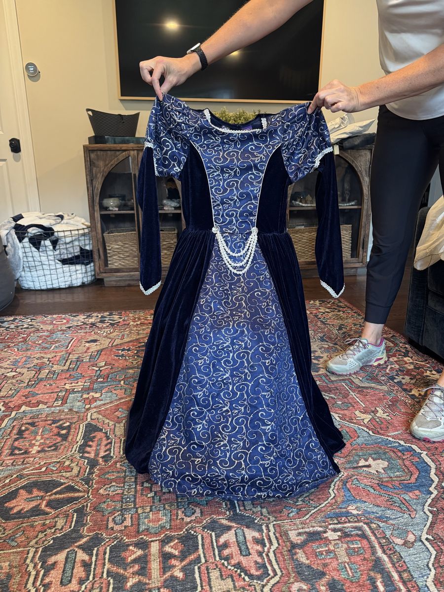 Blue Velvet Medieval Renaissance Princess Costume Dress with Silver Swirls