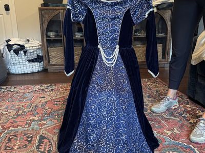 Blue Velvet Medieval Renaissance Princess Costume Dress with Silver Swirls