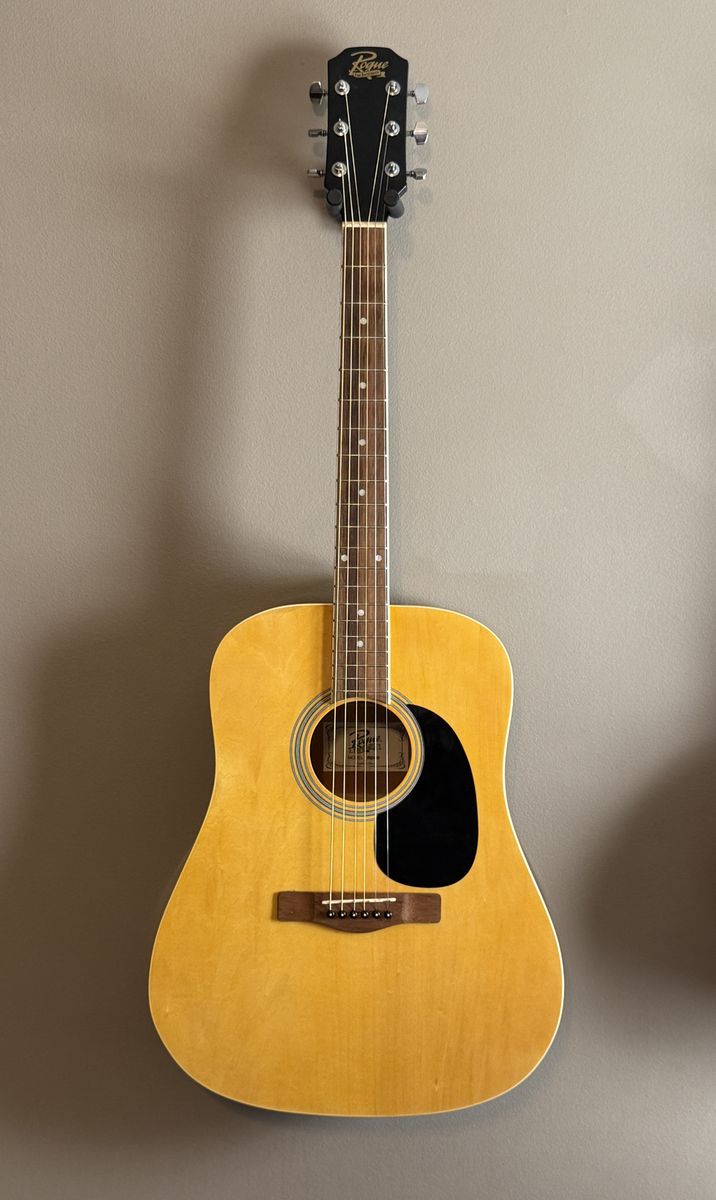 Rogue RD80 Acoustic Guitar – Great Beginner Guitar