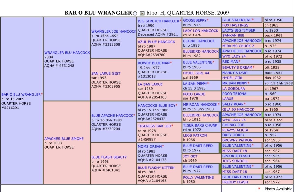Main image 10