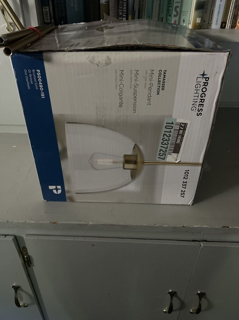 Free Home Depot Pendant Light