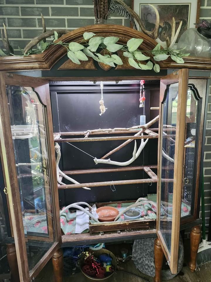 Main image 6