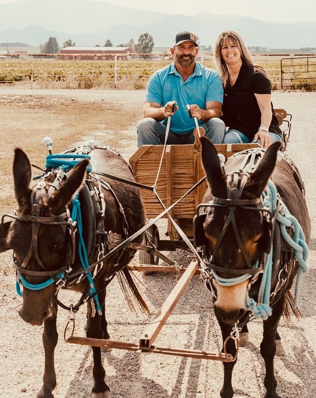 Mini Mule Team