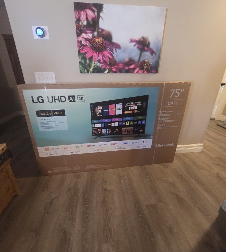 LG 75 inch TV