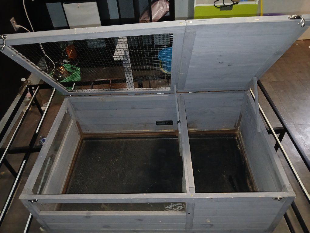Main image 2